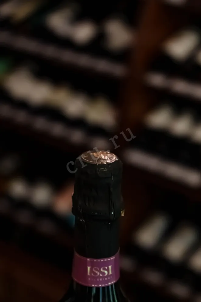 Пробка Issi Millesimato Prosecco DOC 2023 0.75 л