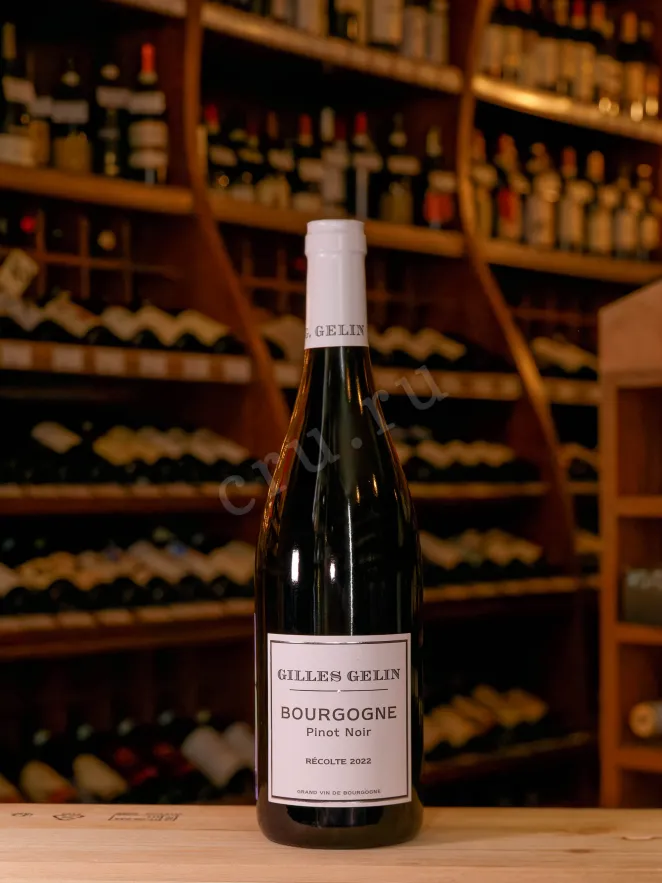 Вино Gilles Gelin Bourgogne Pinot Noir 2022 0.75 л