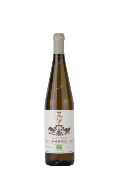 Вино Falerio Saladini Piastri 2019 0.75 л