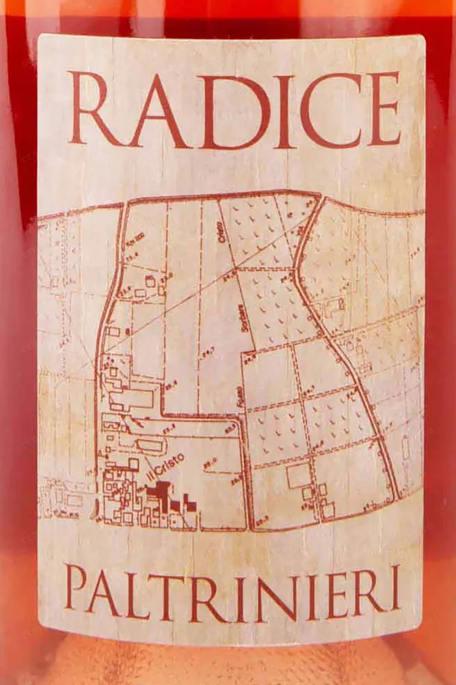Этикетка Paltrinieri Radice Lambrusco di Sorbara 2011 0.75 л