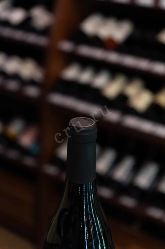 Пробка Bottega Vinai Pinot Nero 2022 0.75 л