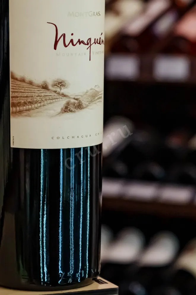 В магазине Крю Профи MontGras Ninquen Moutain Vineyard DO Valle del Colchagua 2017 0.75 л