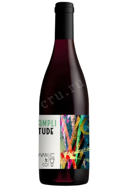 Вино Yvan & Co Amplitude Pays d’Oc IGP 2020 0.75 л