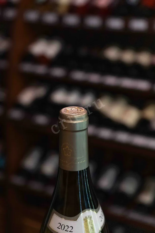Пробка Chablis Maison Olivier 2023 0.75 л