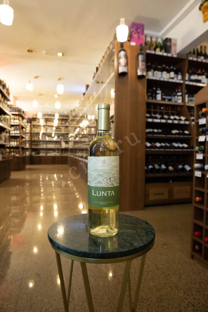 В магазине Крю Профи Mendel Lunta Torrontes 2021 0.75 л