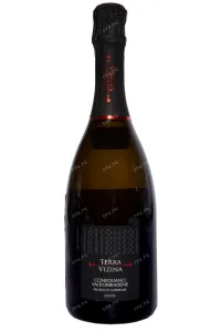Игристое вино Terra Vizina Prosecco Superiore Conegliano Valdobbiadene Extra Dry 2023 0.75 л
