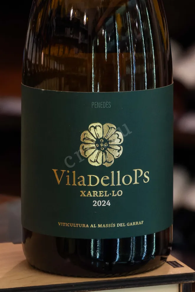 В магазине Крю Профи Viladellops Xarel-lo Penedes DO 2024 0.75 л