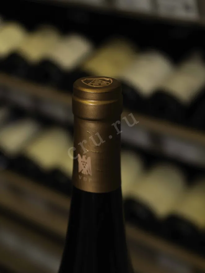 Пробка Gut Hermannsberg Traisen Bastei GG Riesling Troken 2021 0.75 л