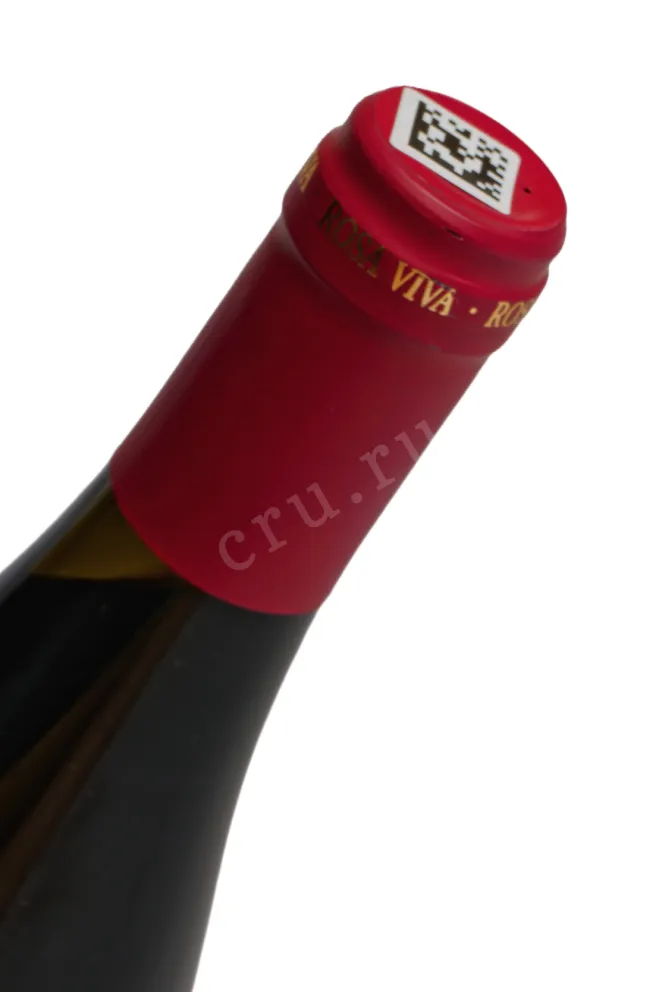 Пробка Agora Winery Rosa Viva Cabernet Franc 2024 0.75 л