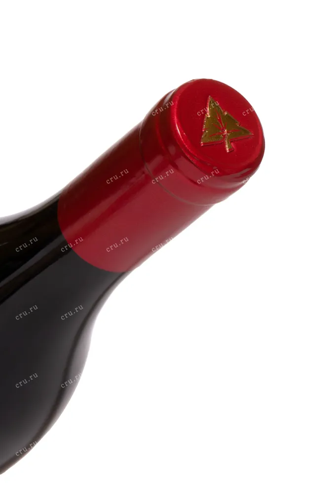 Пробка Alexandrea Winery Areni Red Dry 2021 0.75 л
