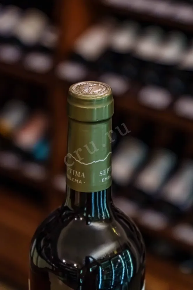 Пробка Septima Emblema Malbec Mendoza 2024 0.75 л