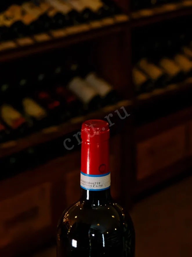 Пробка Roberto Sarotto Excelsius Piemonte Barbera DOC 2022 0.75 л