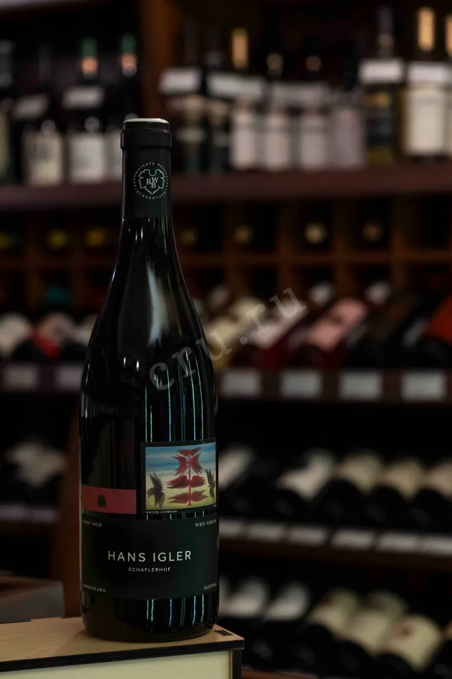 В магазине Крю Профи Hans Igler Pinot Noir Ried Fabian 2018 0.75 л