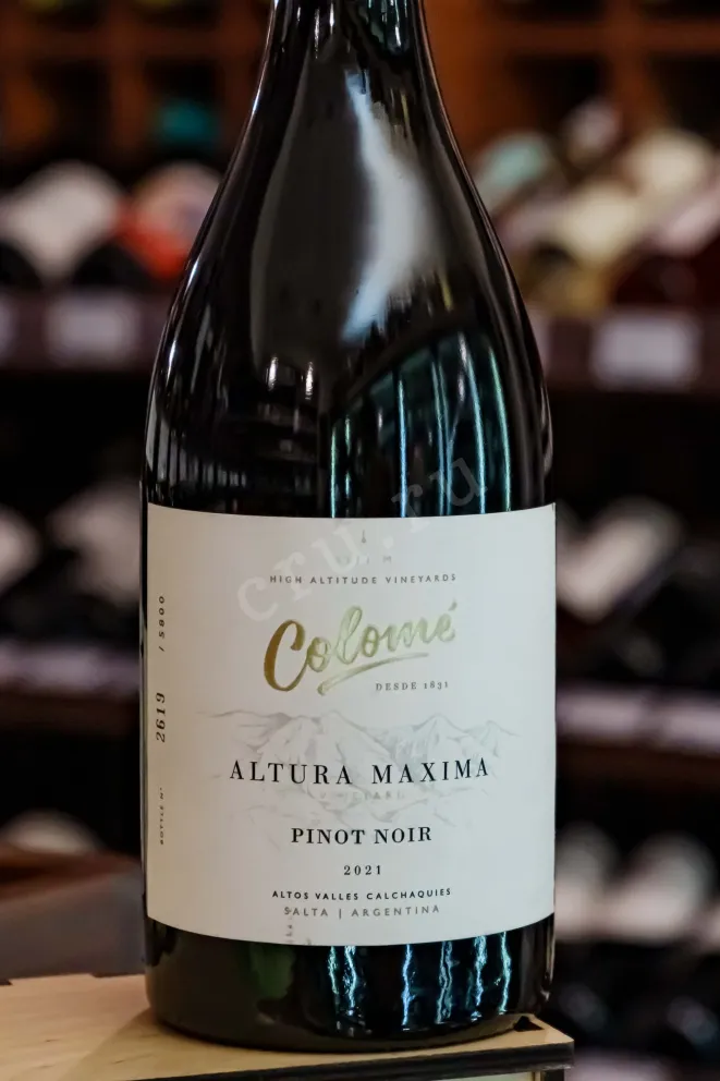 В магазине Крю Профи Colome Altura Maxima Pinot Noir 2021 0.75 л