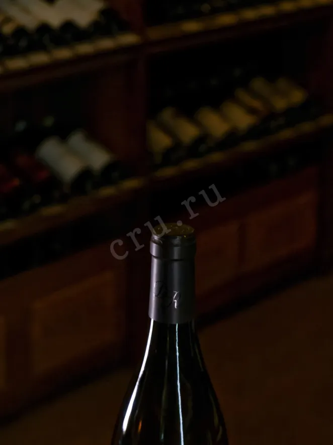 Пробка Domaine Denis Race Chablis 1er Cru Montmains 2022 0.75 л