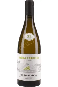 Вино TerraPremiata Lamorosa de'Monteverde Sauvignon Marche 2021 0.75 л