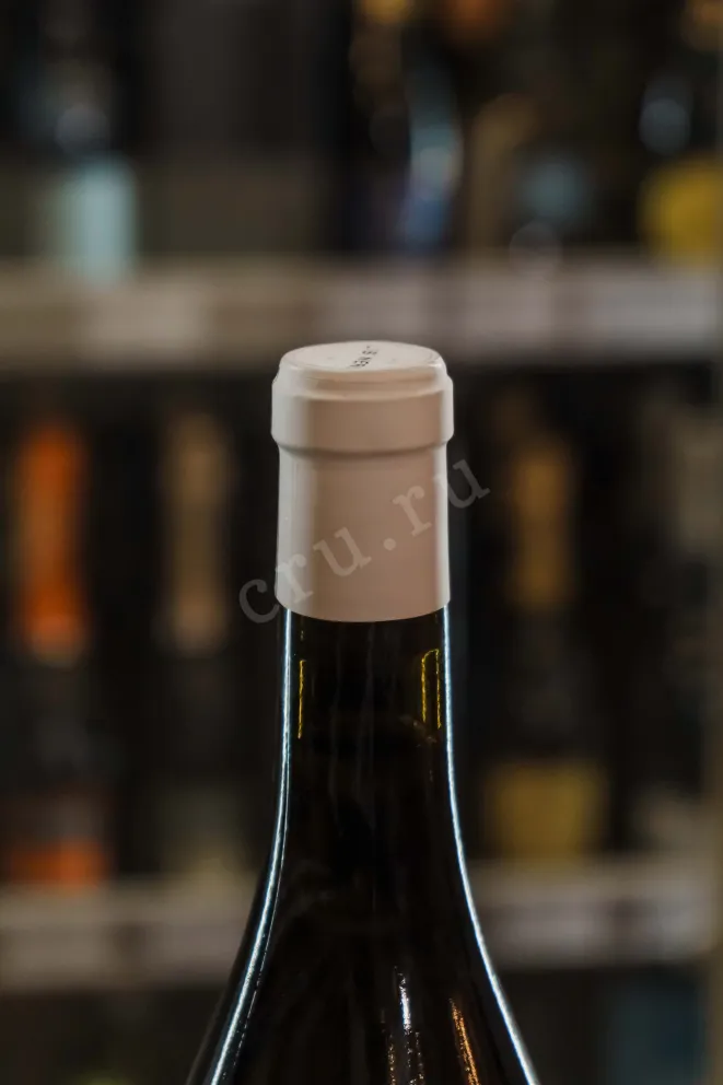 Пробка Gris Pinot Grigio 2021 0.75 л