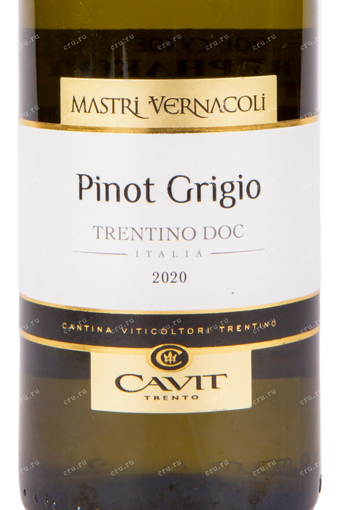 Этикетка вина Mastri Vernacoli Pinot Grigio Vigneti delle Dolomiti 0.75 л