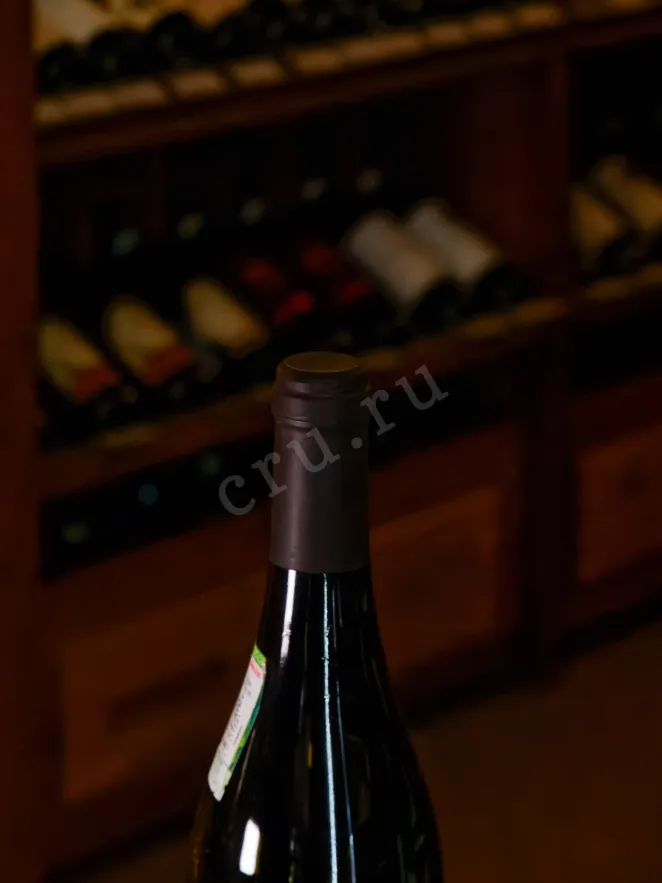 Пробка Tenuta Casate Merlot 2022 0.75 л