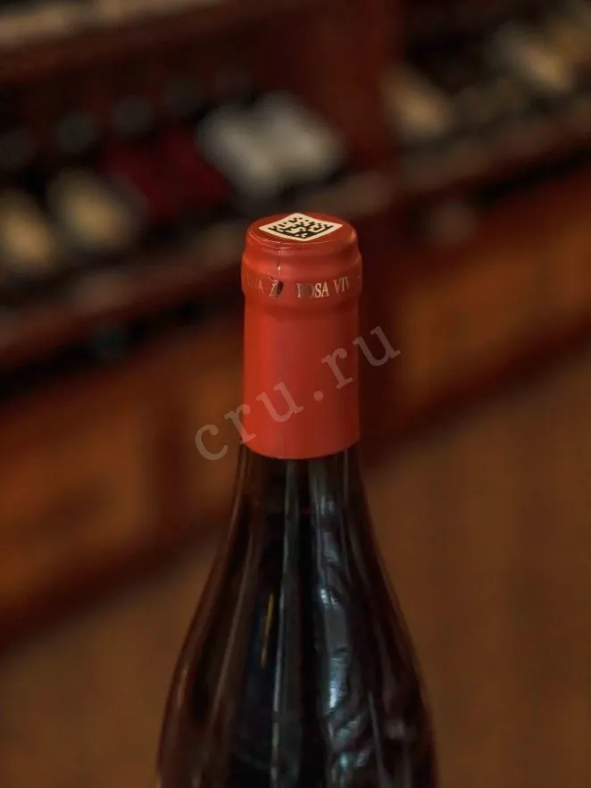 Пробка Agora Winery Rosa Viva Cabernet Sauvignon Shiraz 2024 0.75 л