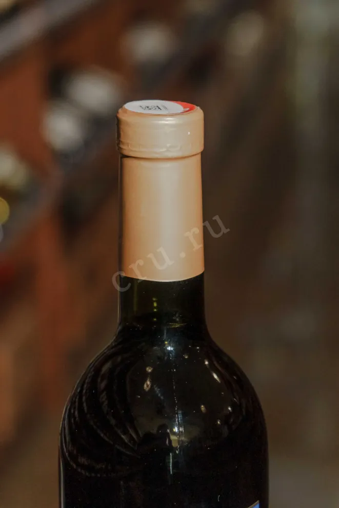 Пробка Gruzwinprom Saperavi 2018 0.75 л