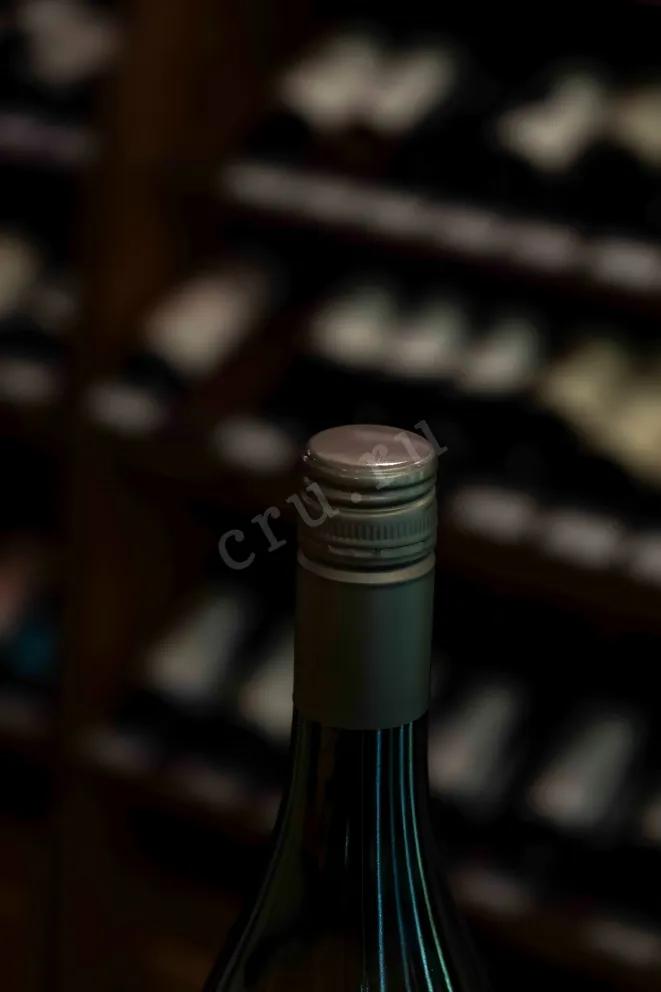Пробка Mewlen Chardonnay Classic Central Valley DO 2023 0.75 л