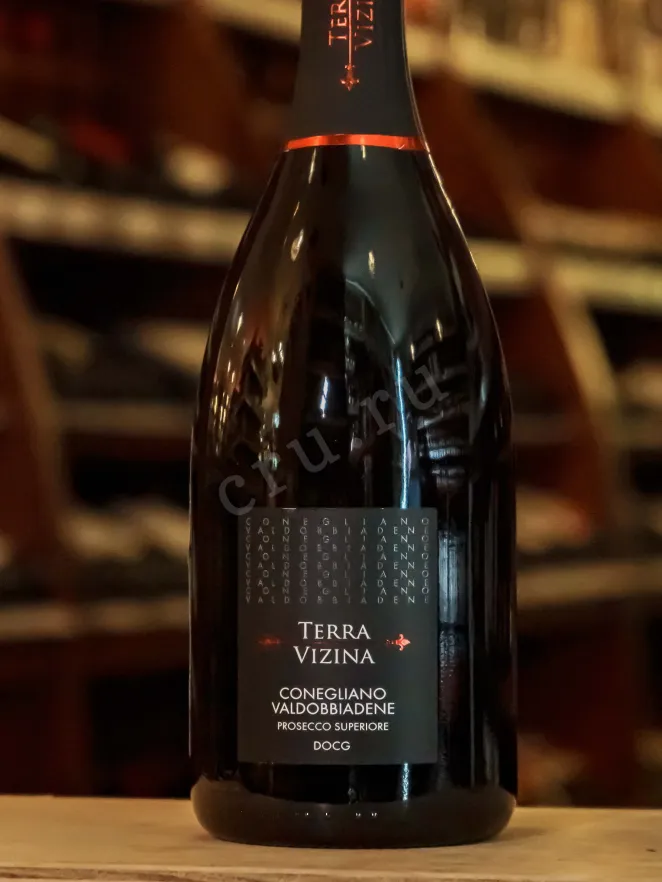 В магазине Крю Профи Terra Vizina Prosecco Superiore Conegliano Valdobbiadene Extra Dry 2023 0.75 л
