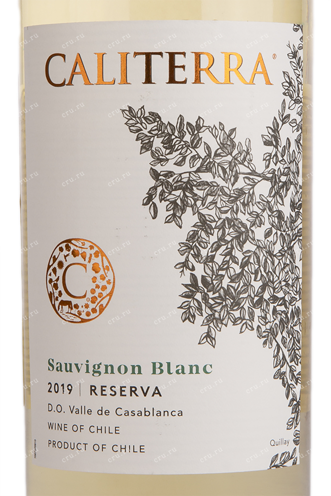 Вино Caliterra Sauvignon Blanc 2019 0.75 л