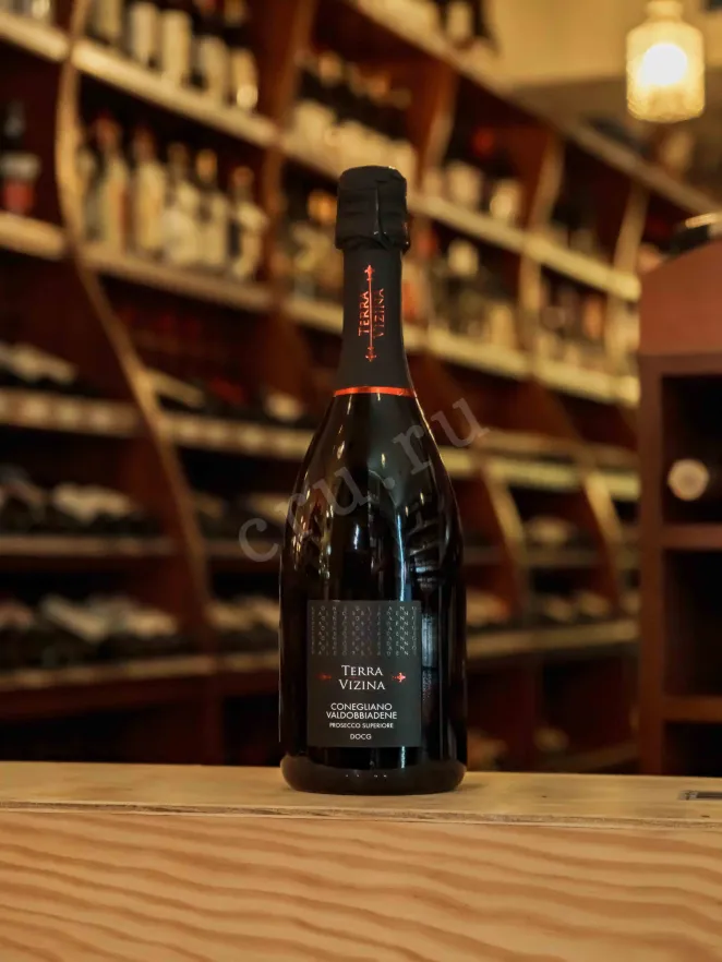 В магазине Крю Профи Terra Vizina Prosecco Superiore Conegliano Valdobbiadene Extra Dry 2023 0.75 л