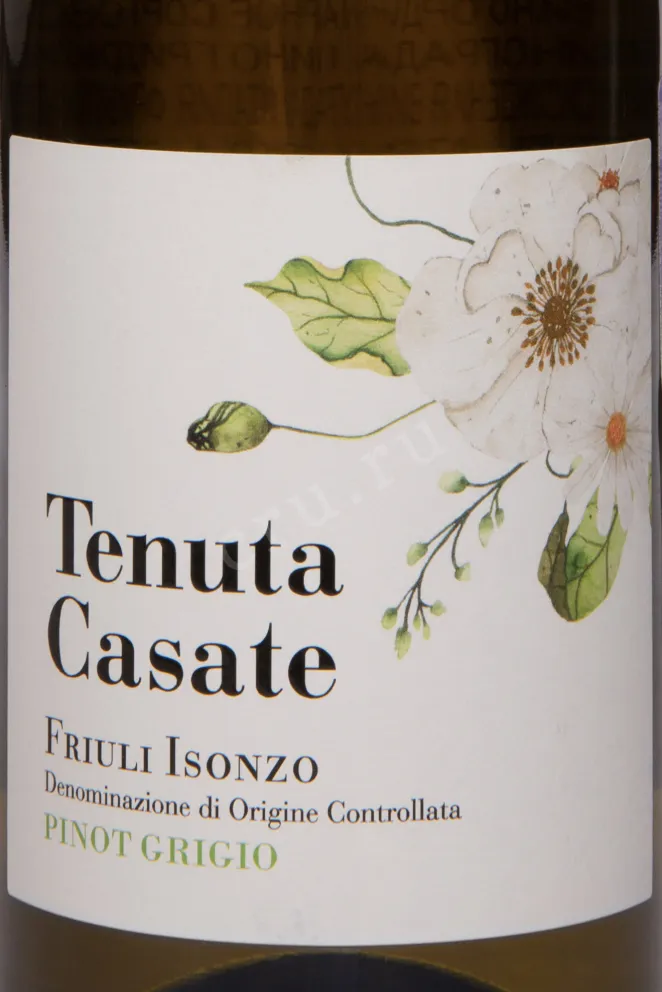 Этикетка Tenuta Casate Pinot Grigio Friuli Isonzo 2023 0.75 л
