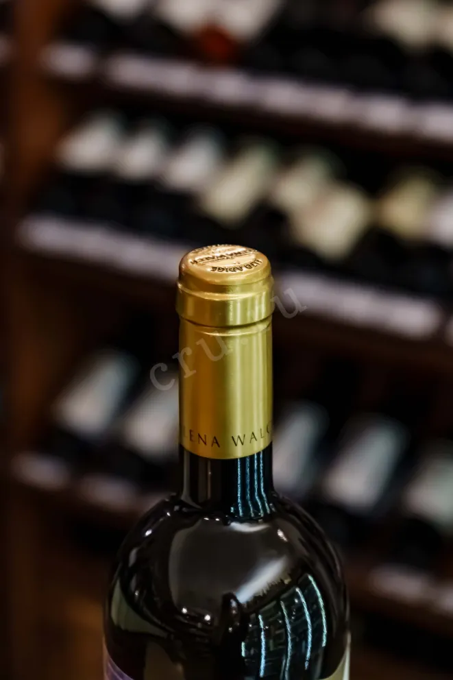 Пробка Elena Walch Pinot Grigio Castel Ringberg DOC 2019 0.75 л