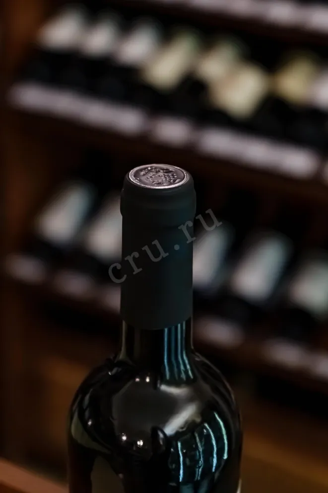 Пробка Pampaneo Tempranillo 2021 0.75 л
