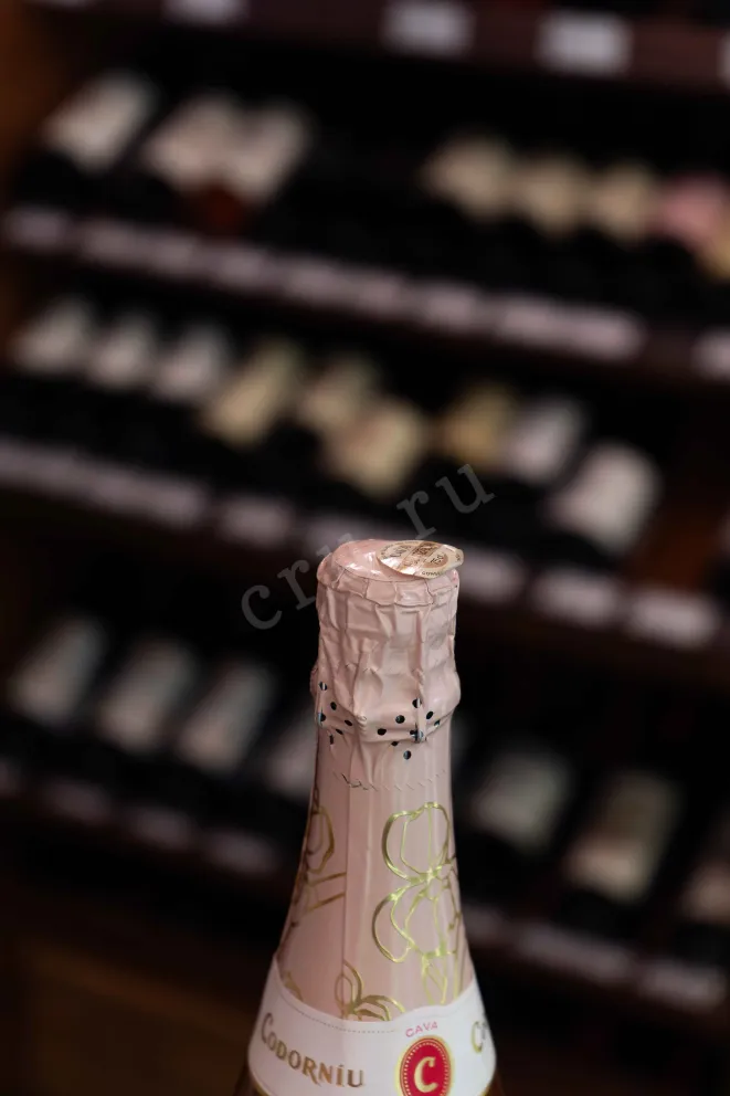 Пробка Codorniu Cuvee Barcelona Rose 2018 0.75 л