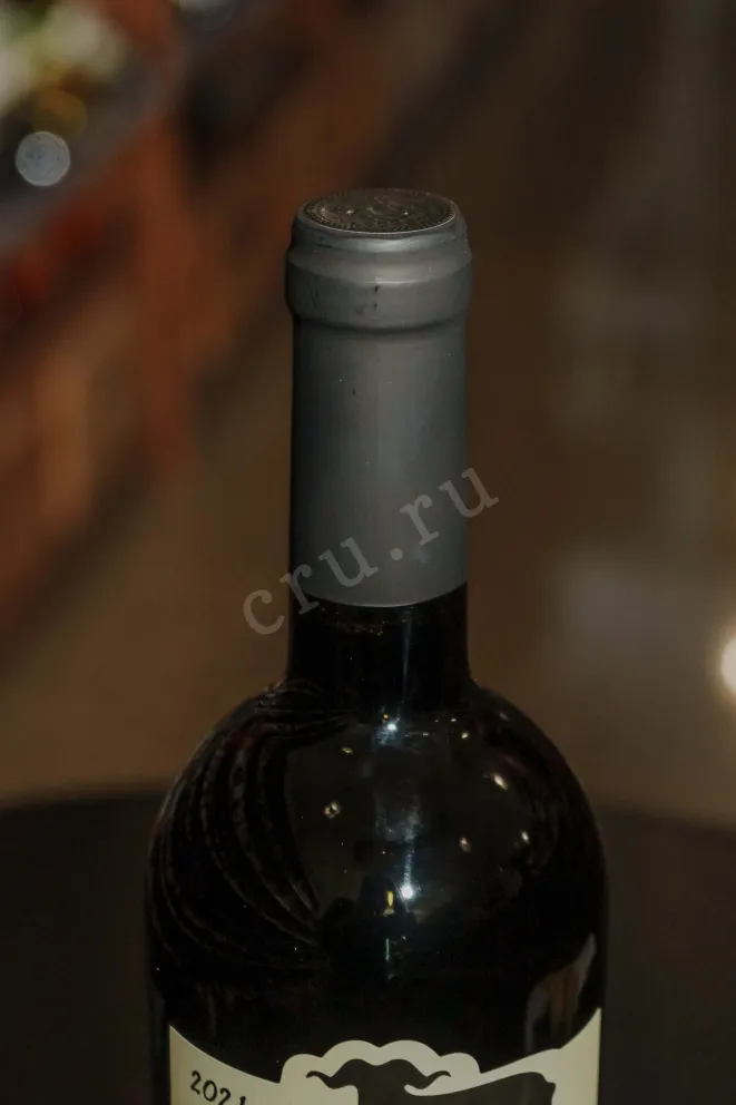 Пробка Koncho & Co Saperavi Qvevri 2021 0.75 л