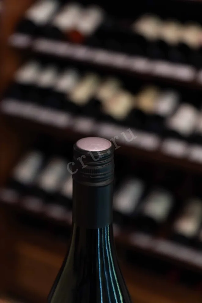 Пробка Clement & Florian Berthier L'Instant Pinot Noir 2022 0.75 л