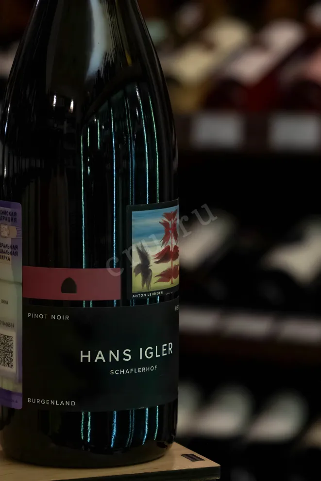 В магазине Крю Профи Hans Igler Pinot Noir Ried Fabian 2018 0.75 л
