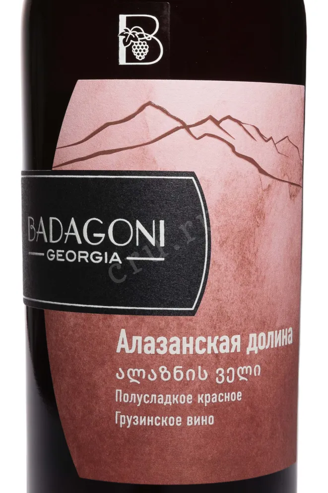 Этикетка Badagoni Alazani Valley Red 2024 0.75 л