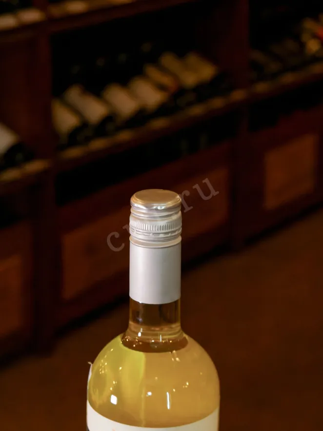 Пробка Viejo Feo Sauvignon Blan 2023 0.75 л