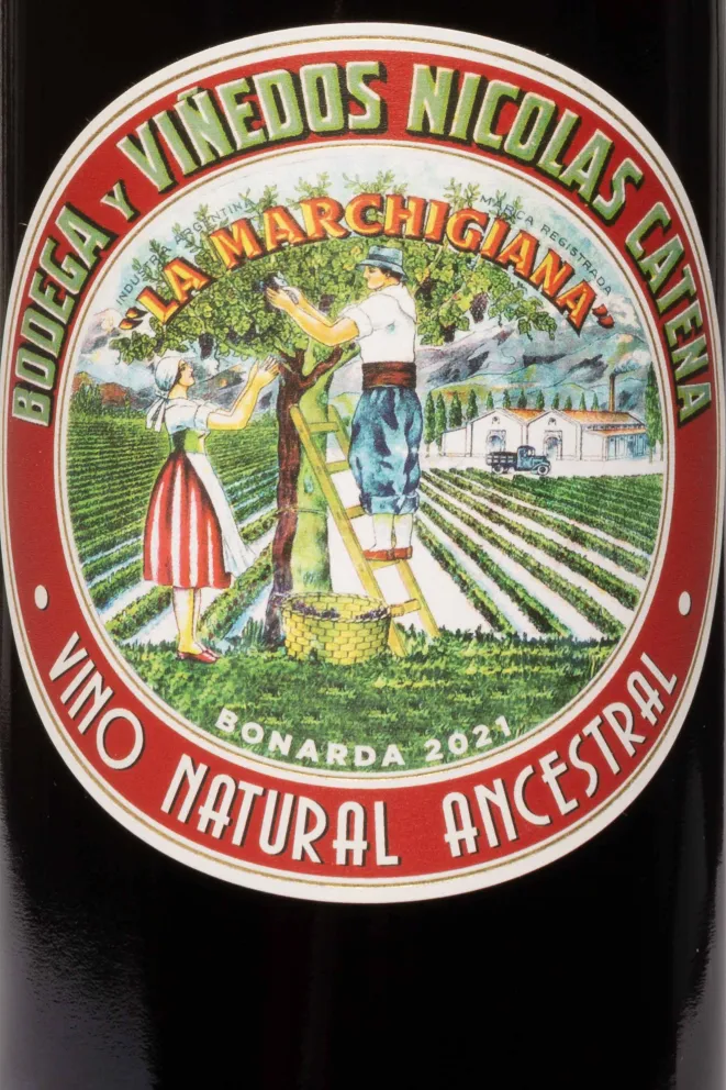 Этикетка La Marchigiana Bonarda 2021 0.75 л