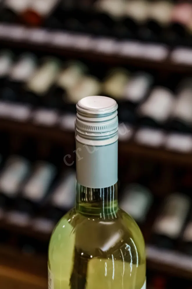 Пробка Montecampo Pinot Grigio delle Venezie 2023 0.75 л