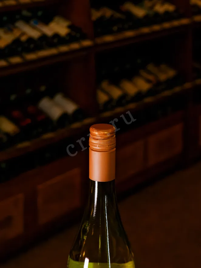 Пробка Carmen Premier Reserva Chardonnay 2023 0.75 л