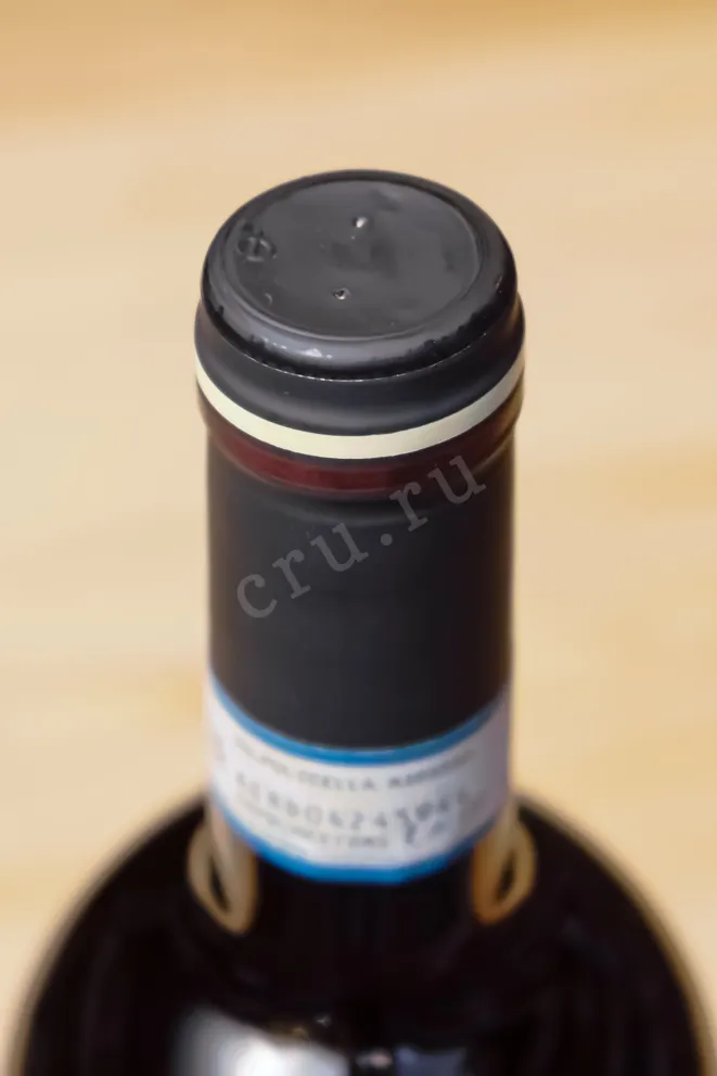 Пробка Tenuta Santa Maria Valpolicella Ripasso Classico Superiore 2022 0.75 л