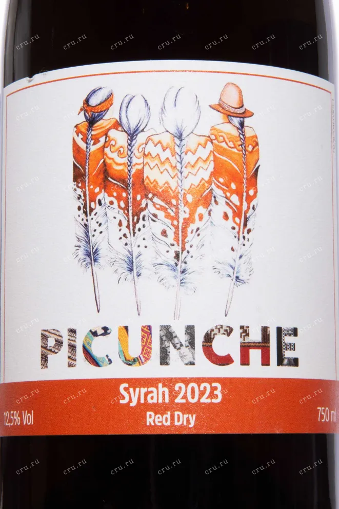 Этикетка Picunche Syrah Valley Central DO 2023 0.75 л