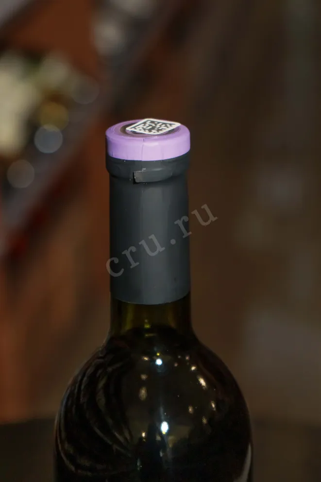 Пробка ZB Wine Saperavi 2022 0.75 л