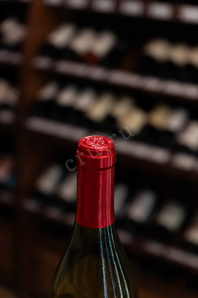 Пробка Tradicion Chardonnay 2024 0.75 л