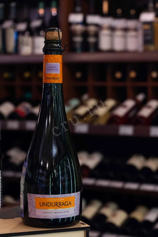В магазине Крю Профи Undurraga Sweet Moscato DO 2024 0.75 л