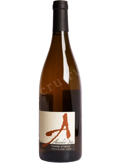 Вино Alexandre Bain Terre D’Obus 2022 0.75 л