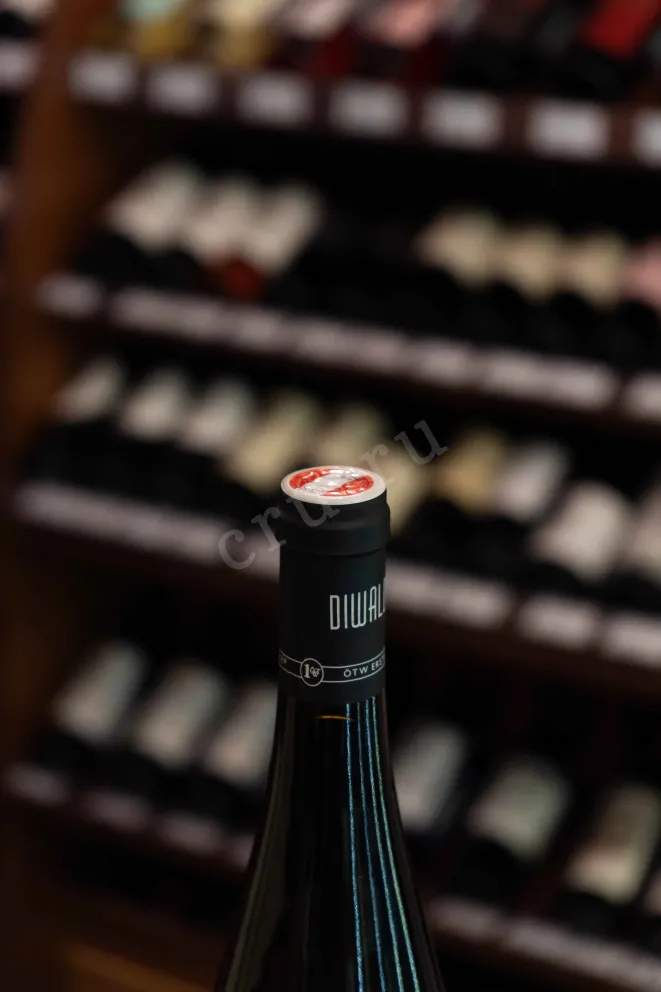 Пробка Diwald Ried Goldberg Premier Cru Grüner Veltliner 2020 0.75 л