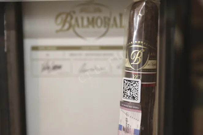 В магазине Крю Профи Balmoral Anejo XO Rothschild *20