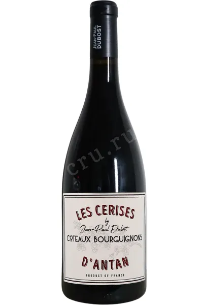 Вино JeanPaul Dubost Les Cerises d'Antan Coteaux Bourguignons 2024 0.75 л